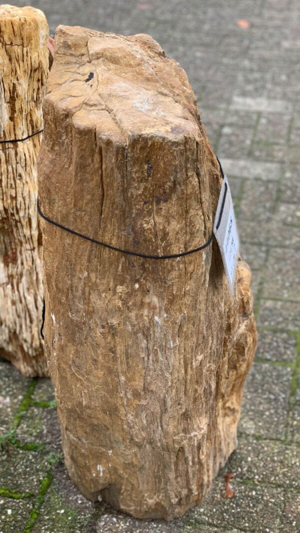 Grabstein versteinertes Holz 44065