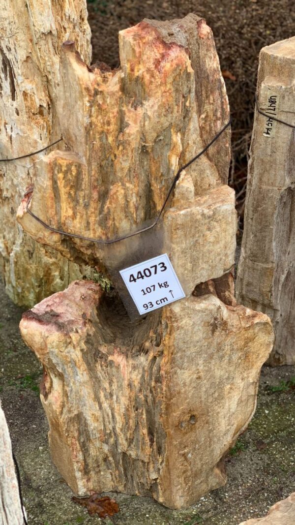 Grabstein versteinertes Holz 44073
