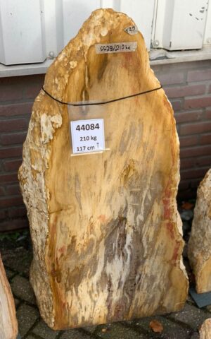 Grabstein versteinertes Holz 44084