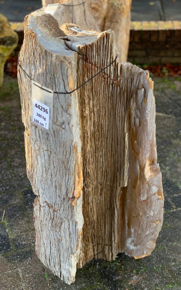 Grabstein versteinertes Holz 44296