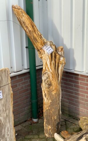 Grafsteen versteend hout 43134