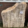 Grafsteen versteend hout 43149