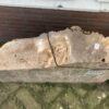 Grafsteen versteend hout 43149