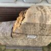 Grafsteen versteend hout 43150