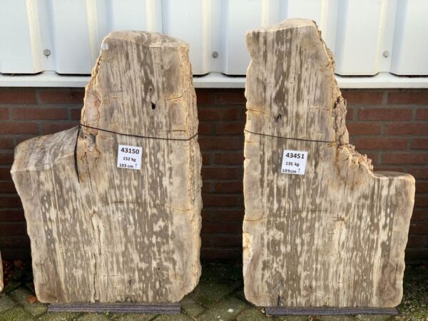 Grafsteen versteend hout 43150