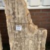 Grafsteen versteend hout 43451