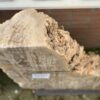Grafsteen versteend hout 43451