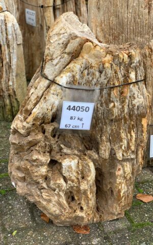 Grafsteen versteend hout 44050
