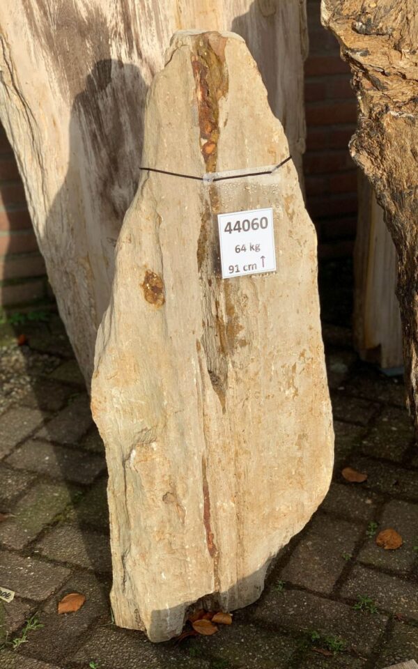 Grafsteen versteend hout 44060