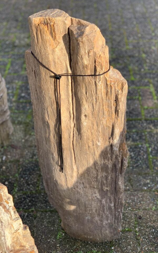 Grafsteen versteend hout 44295