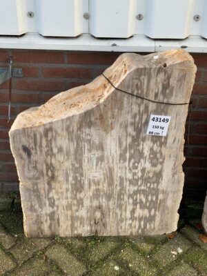 Lápida madera petrificada 43149