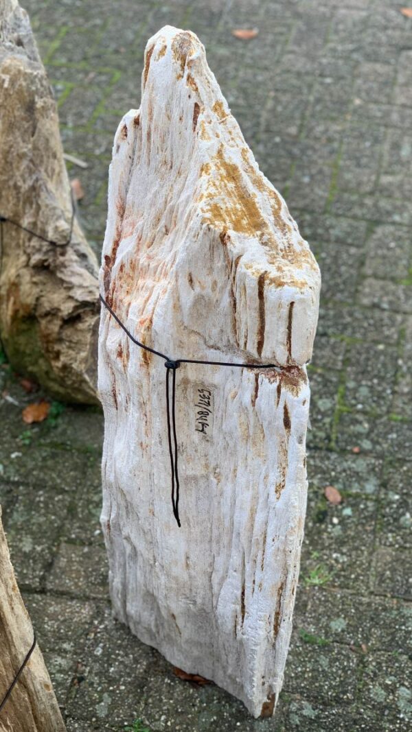 Lápida madera petrificada 44041