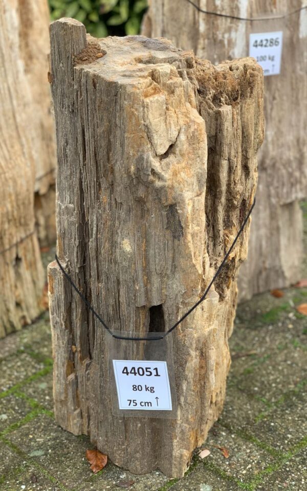 Lápida madera petrificada 44051