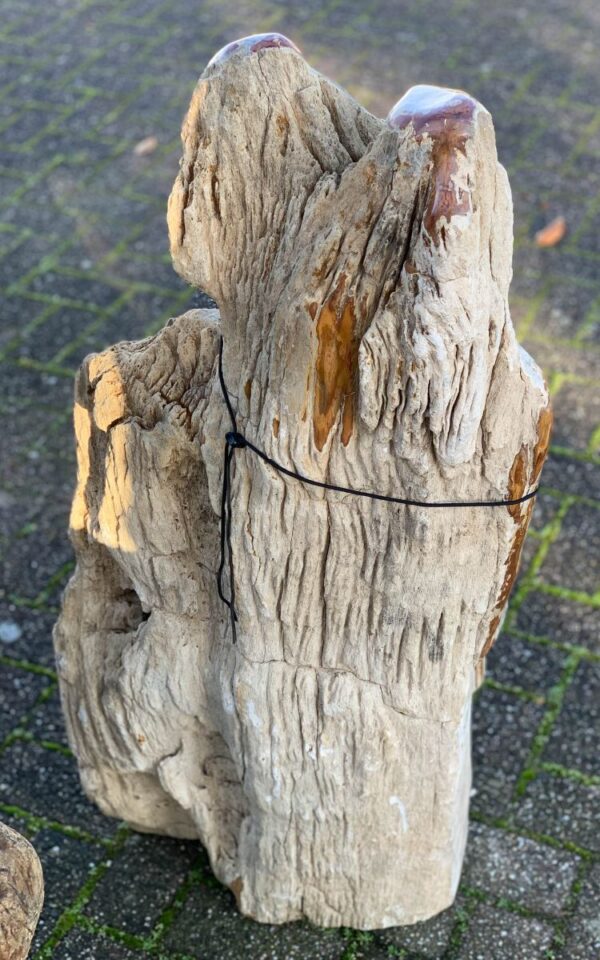 Lápida madera petrificada 44053