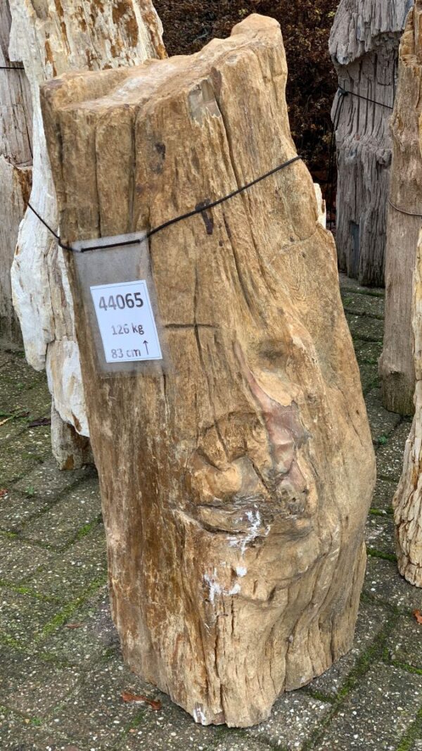 Lápida madera petrificada 44065