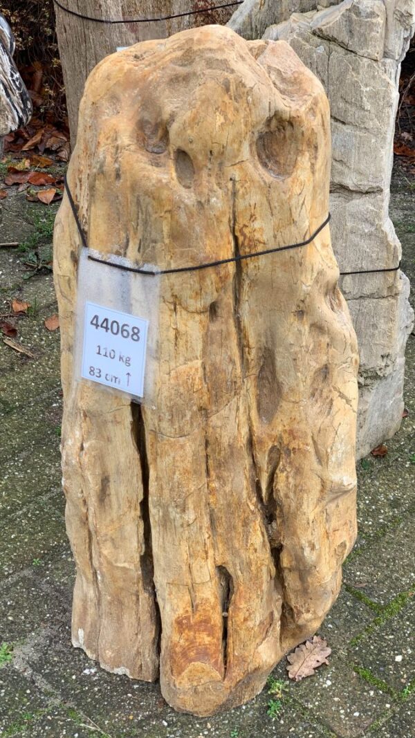 Lápida madera petrificada 44068