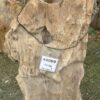 Lápida madera petrificada 44069