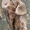 Lápida madera petrificada 44069