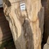 Lápida madera petrificada 44083
