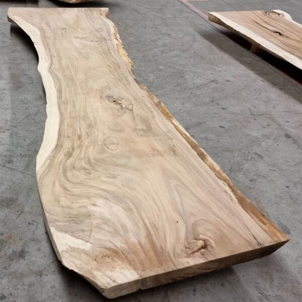Live edge table suar 30522