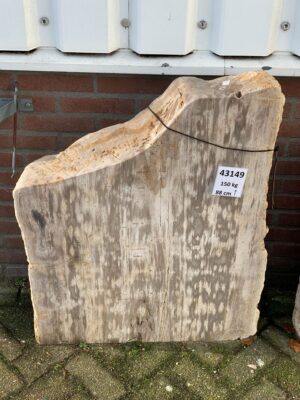 Memorial stone petrified wood 43149