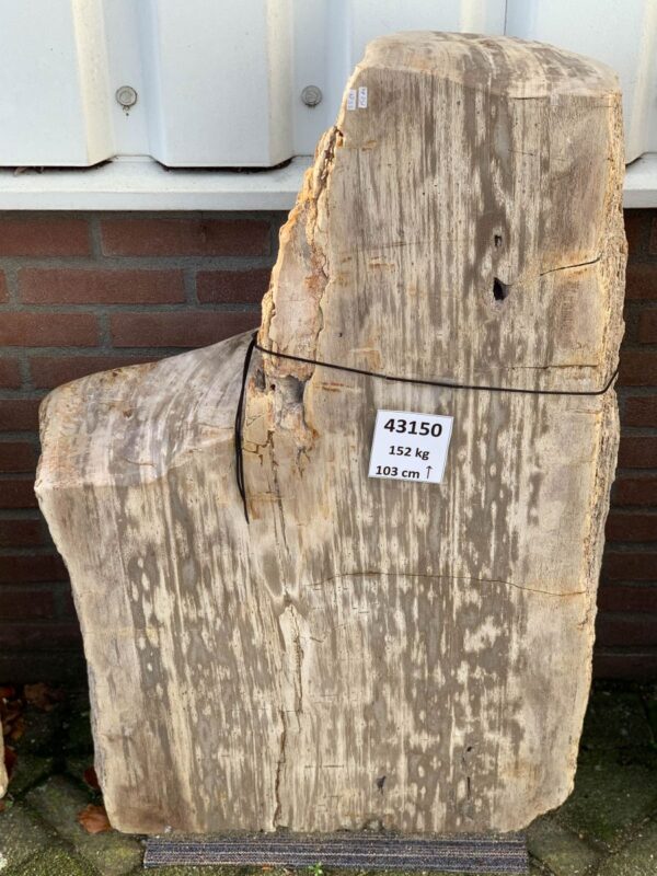 Memorial stone petrified wood 43150