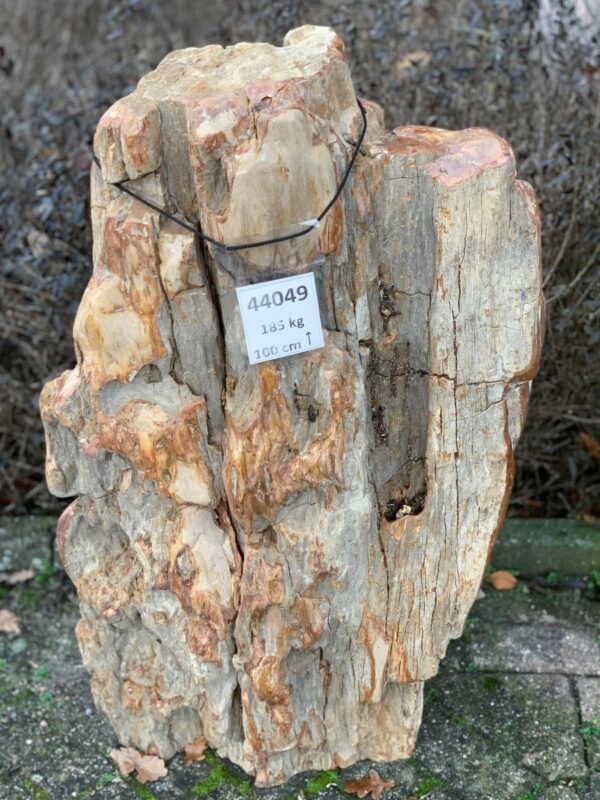 Memorial stone petrified wood 44049