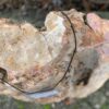 Memorial stone petrified wood 44049