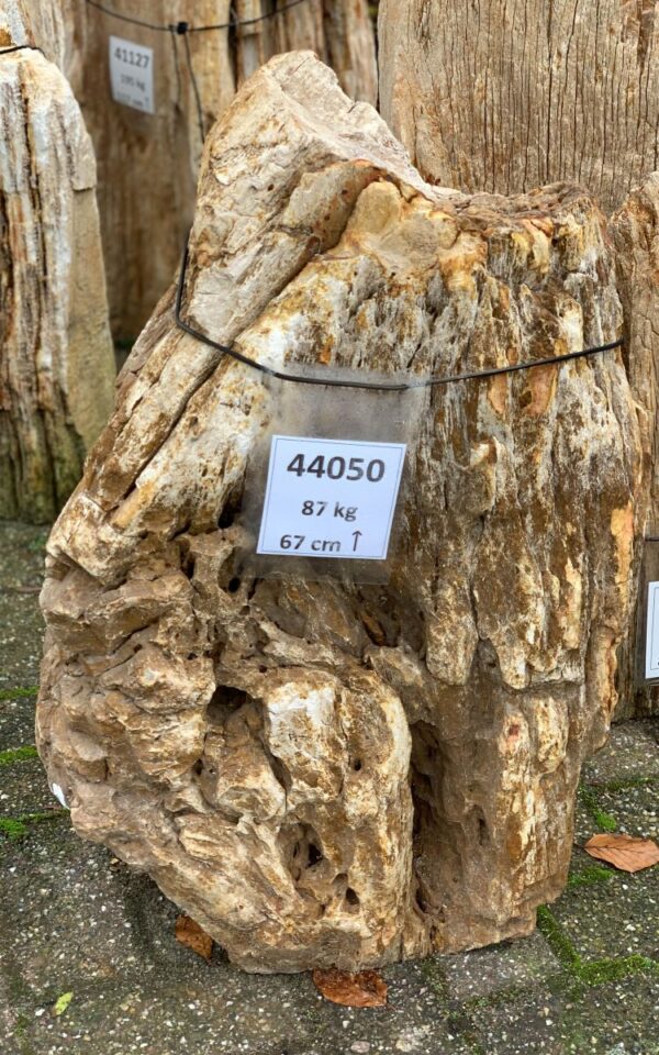 Memorial stone petrified wood 44050