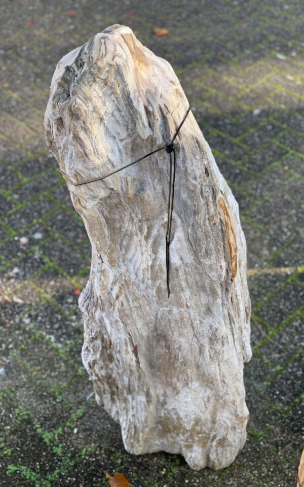 Memorial stone petrified wood 44054