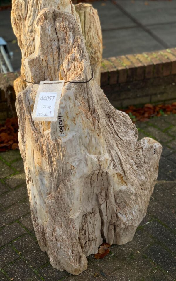 Memorial stone petrified wood 44057