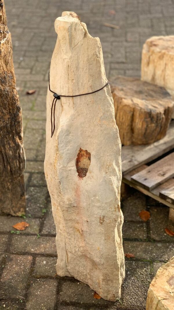 Memorial stone petrified wood 44060
