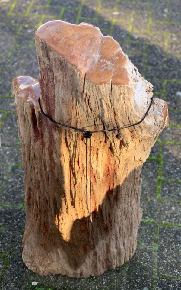 Memorial stone petrified wood 44061