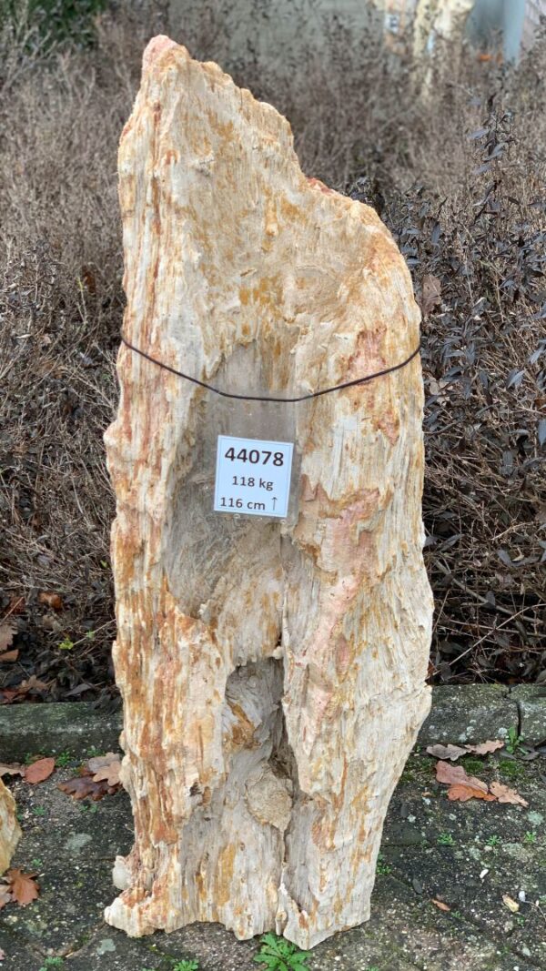 Memorial stone petrified wood 44078
