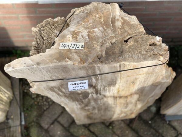 Memorial stone petrified wood 44083