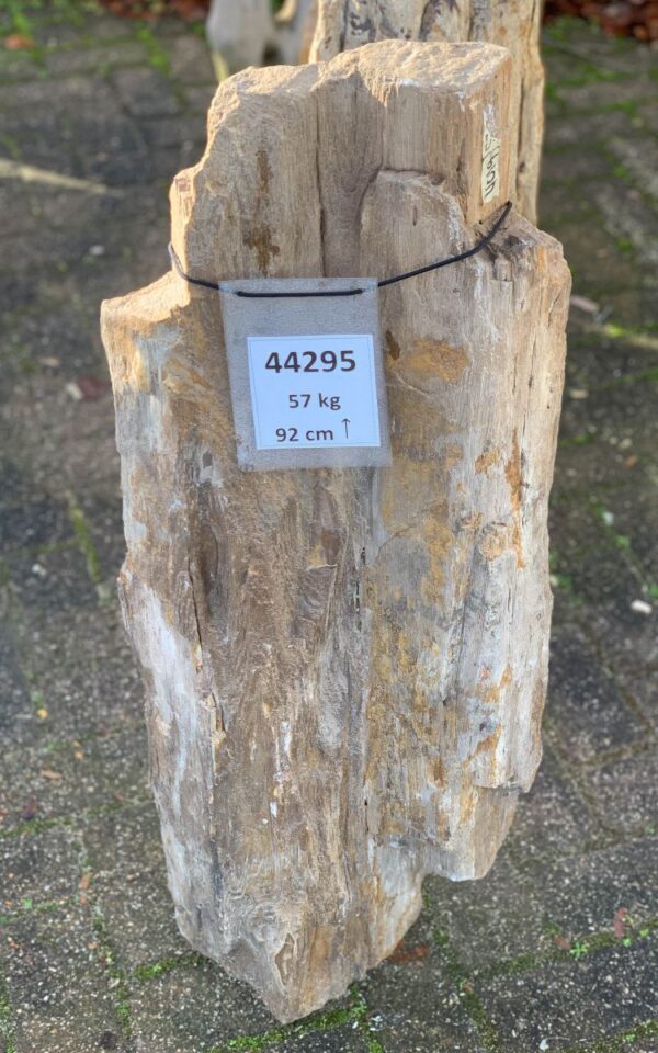 Memorial stone petrified wood 44295