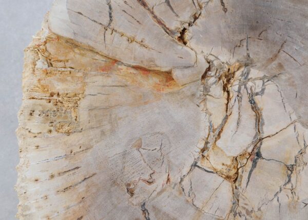 Mesa de centro madera petrificada 44108