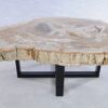 Mesa de centro madera petrificada 44122