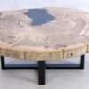 Mesa de centro madera petrificada 44147