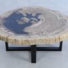 Mesa de centro madera petrificada 44167
