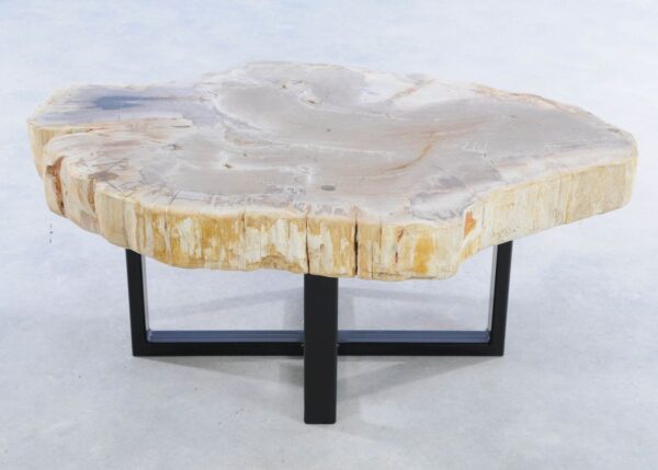 Mesa de centro madera petrificada 44212