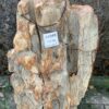 Pierre tombale bois pétrifié 44049
