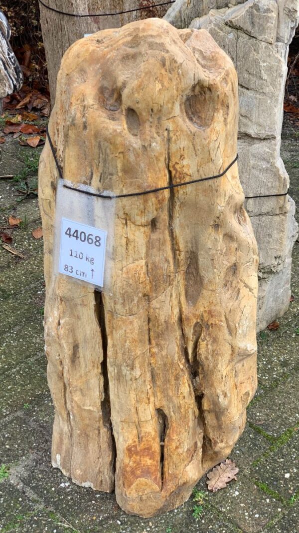 Pierre tombale bois pétrifié 44068