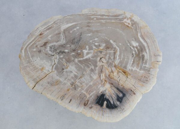 Salontafel versteend hout 44094