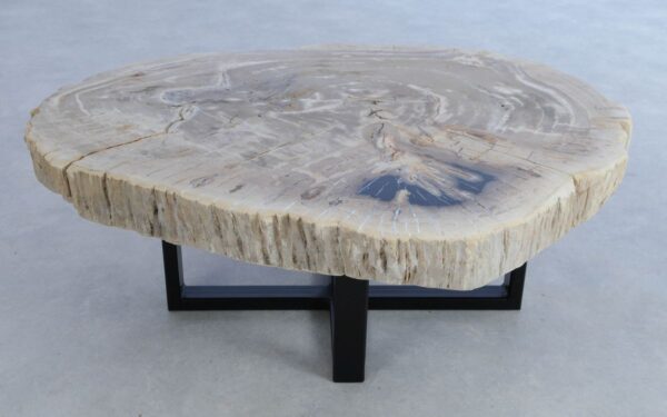 Salontafel versteend hout 44094