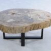 Salontafel versteend hout 44100