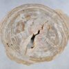 Salontafel versteend hout 44215