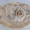 Table basse bois pétrifié 44102