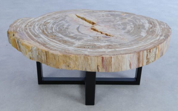 Table basse bois pétrifié 44113