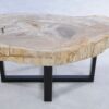 Table basse bois pétrifié 44122